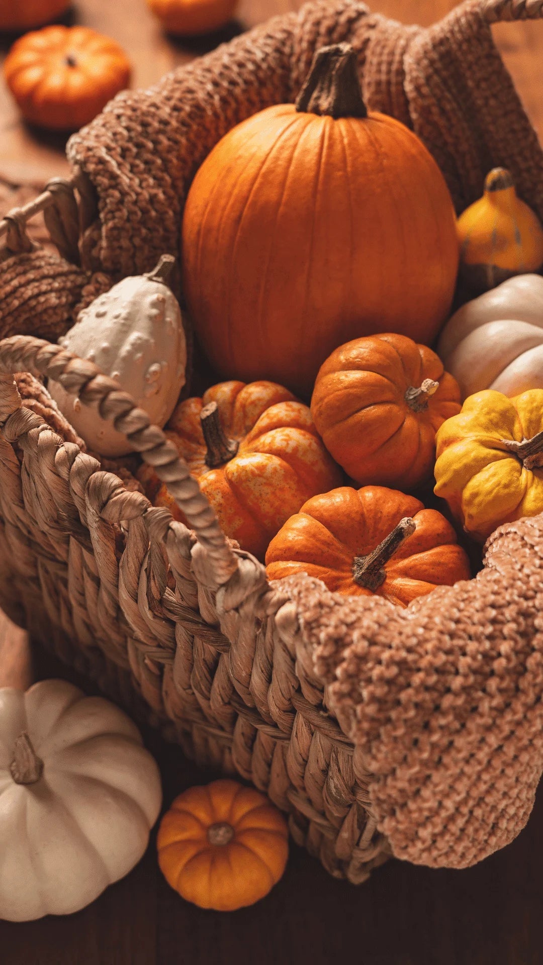 Fall & Halloween