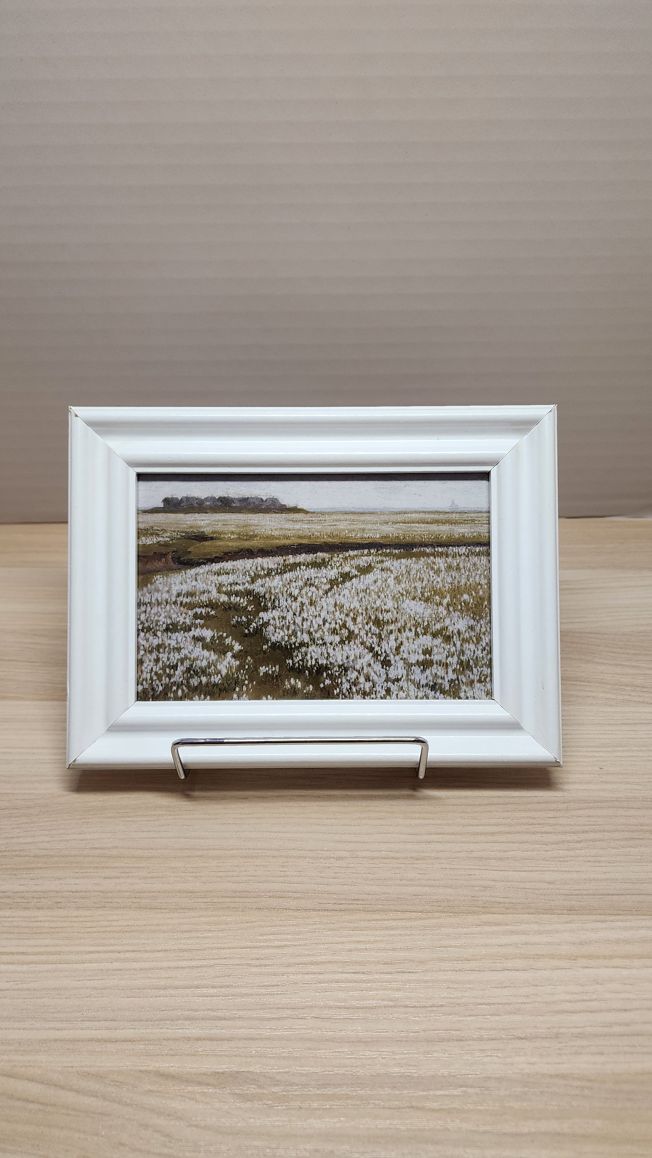 Wildflower Fields Mini Frame