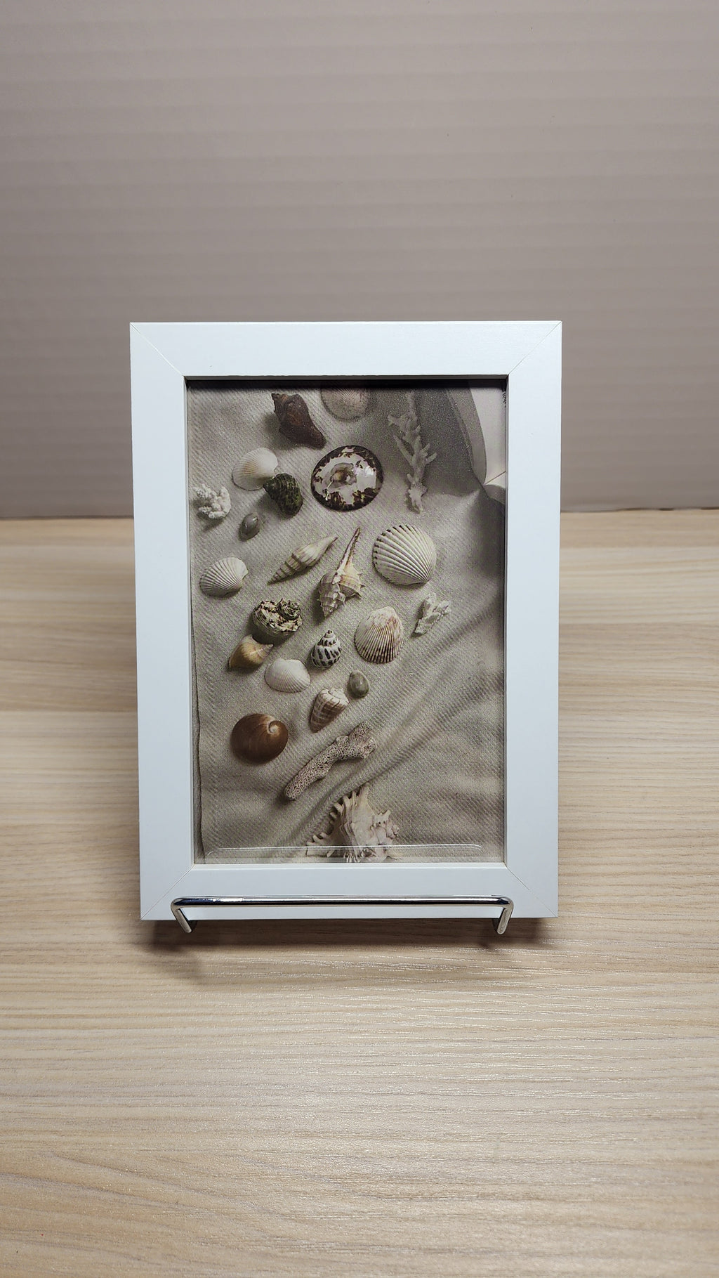 Seashell Collection Mini Frame