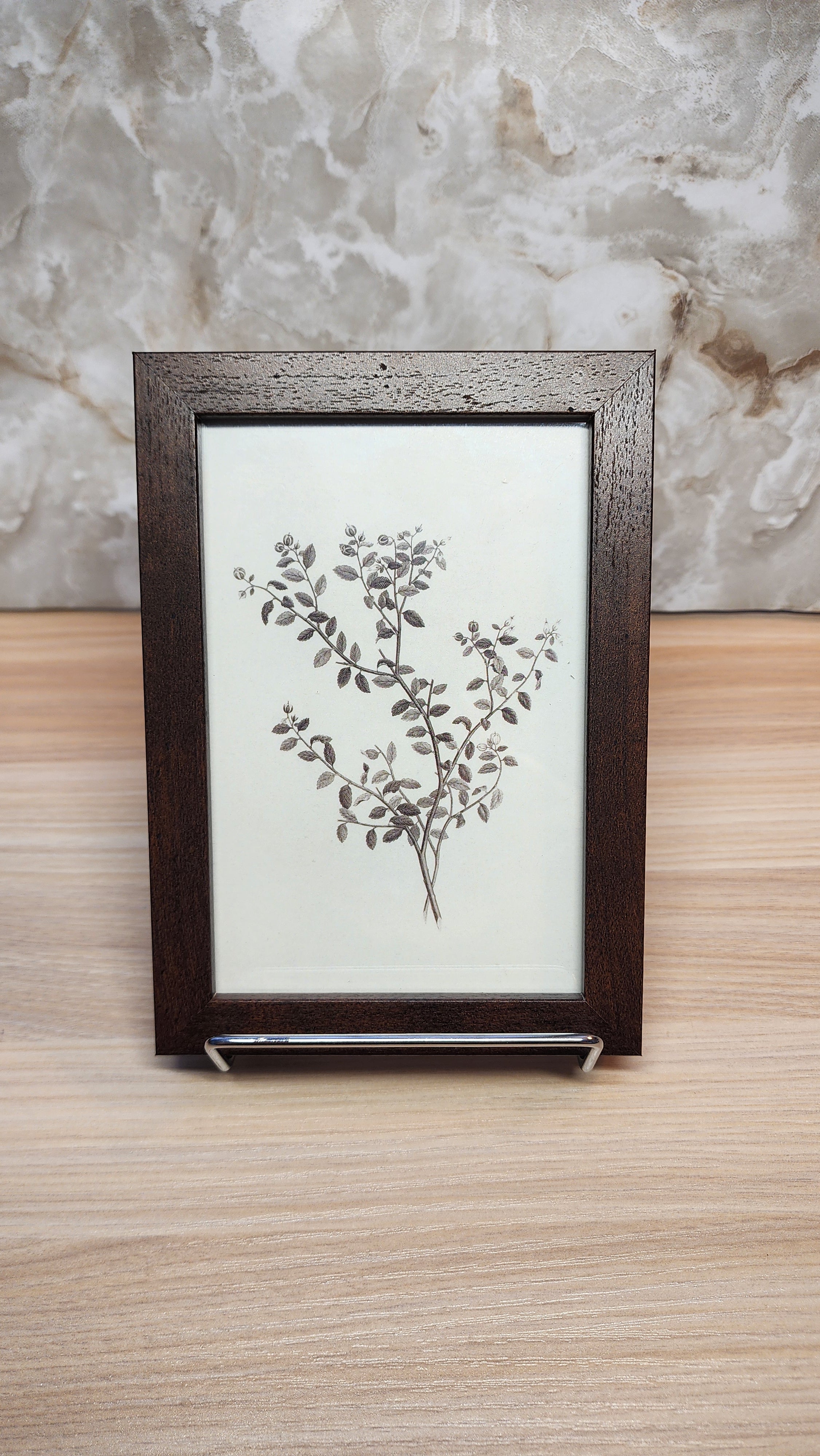Botanical Sprig Tabletop Frame